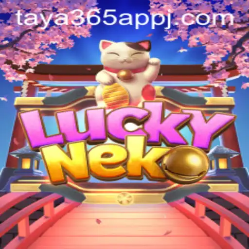 Exploring the Charm of LuckyNeko on the Taya365 App