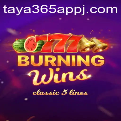 The Alluring World of BurningWins on Taya365 App