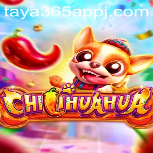 Exploring the Exciting World of CHILIHUAHUA with Taya365 App