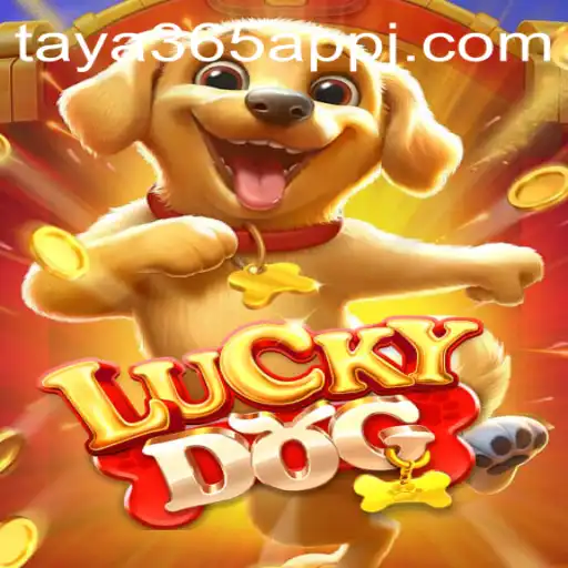 Exploring the Exciting World of LuckyDog on the Taya365 App
